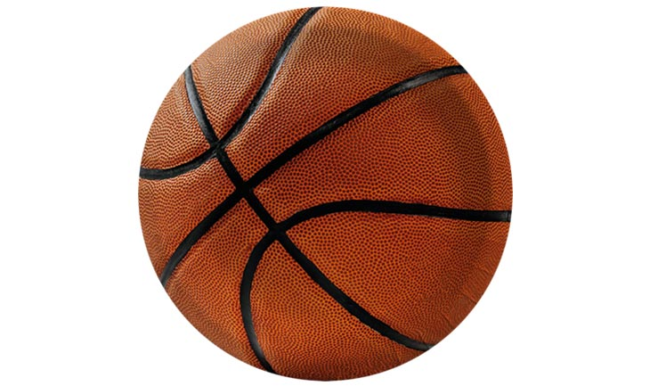 BASKETBOL TABAK 23CM (8AD)